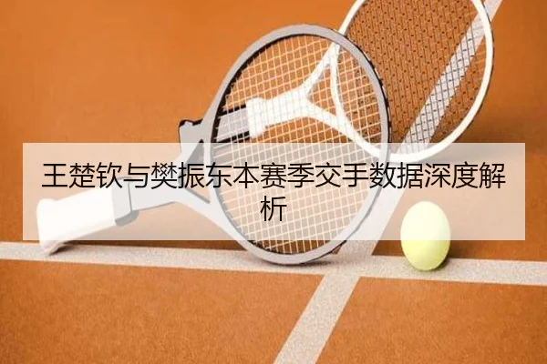 王楚钦与樊振东本赛季交手数据深度解析